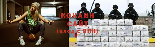бошки Бородино