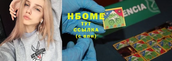 сатива Богородицк