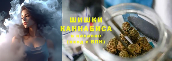 бошки Бородино