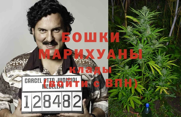 бошки Бородино