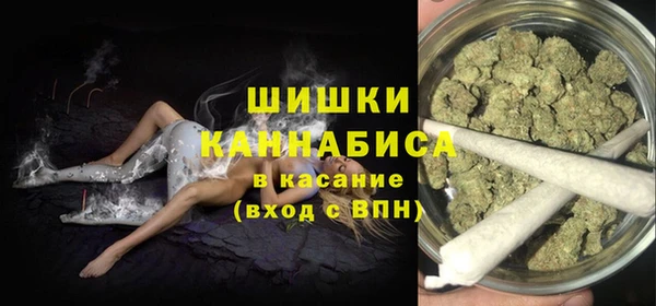 бошки Бородино