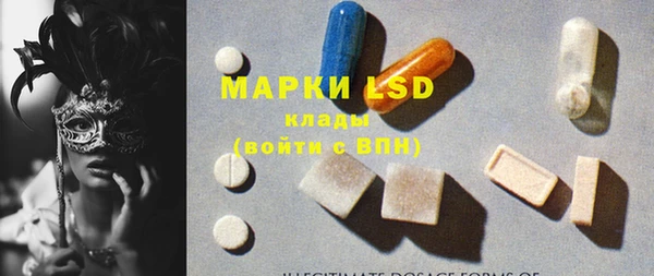 бошки Бородино